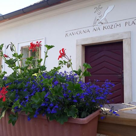Cafe Kozi Placek Кутна-Гора Экстерьер фото