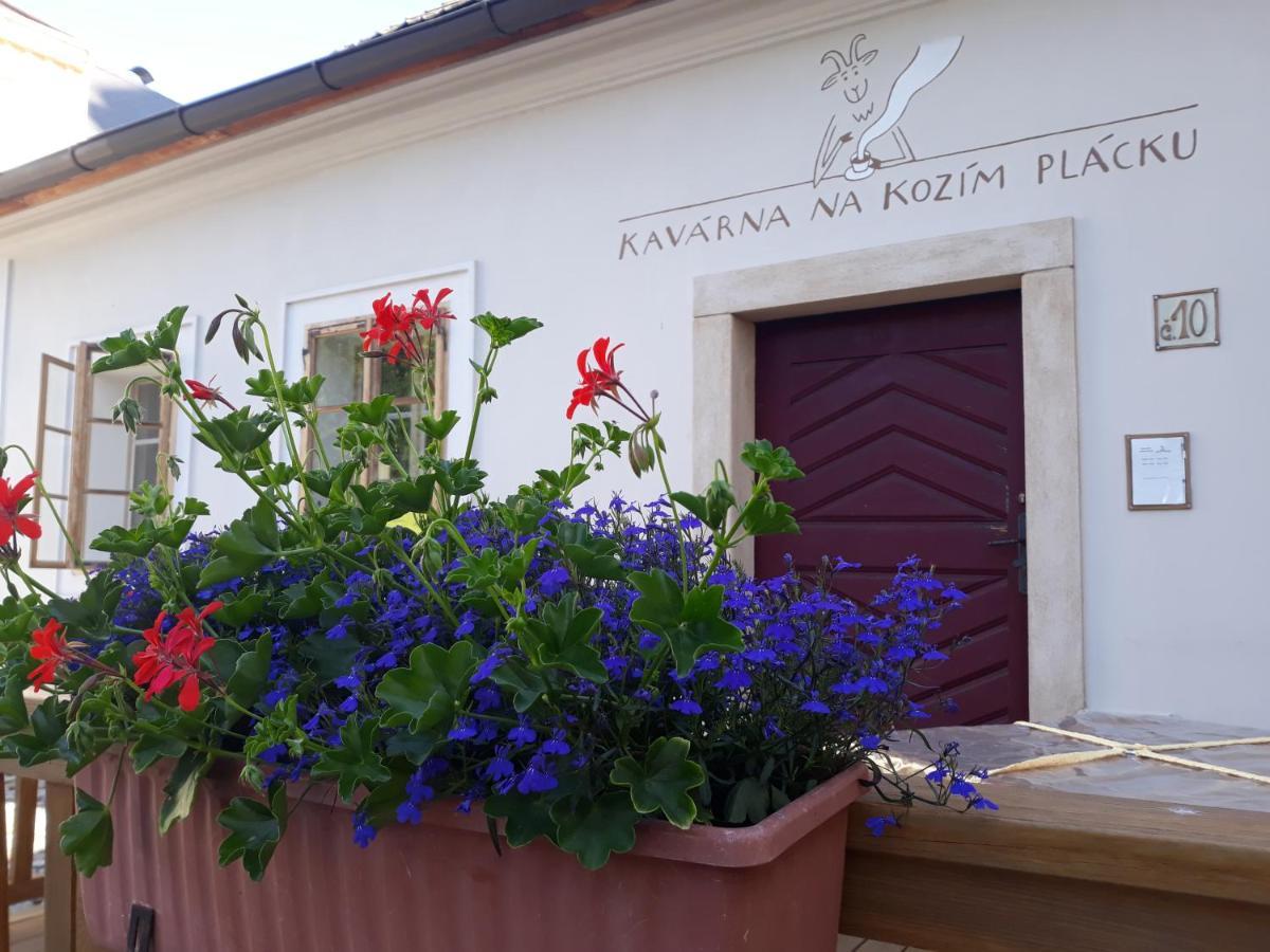 Cafe Kozi Placek Кутна-Гора Экстерьер фото